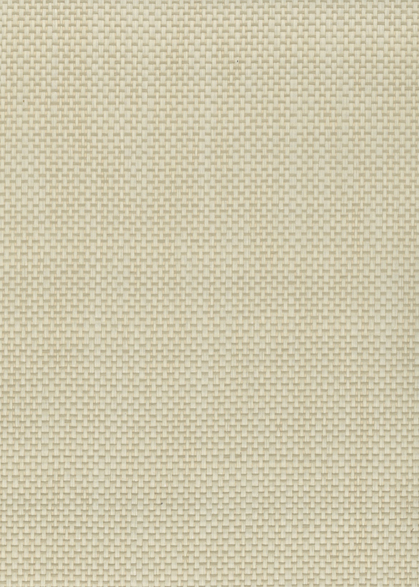 NICHOLASJOHN INC. Natural - Textured Wallcoverings PAPER WEAVE      - NJ25NP6104