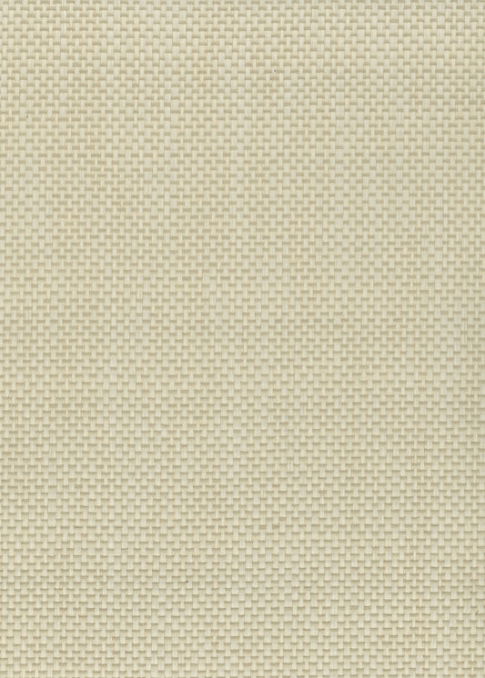 NICHOLASJOHN INC. Natural - Textured Wallcoverings PAPER WEAVE      - NJ25NP6104