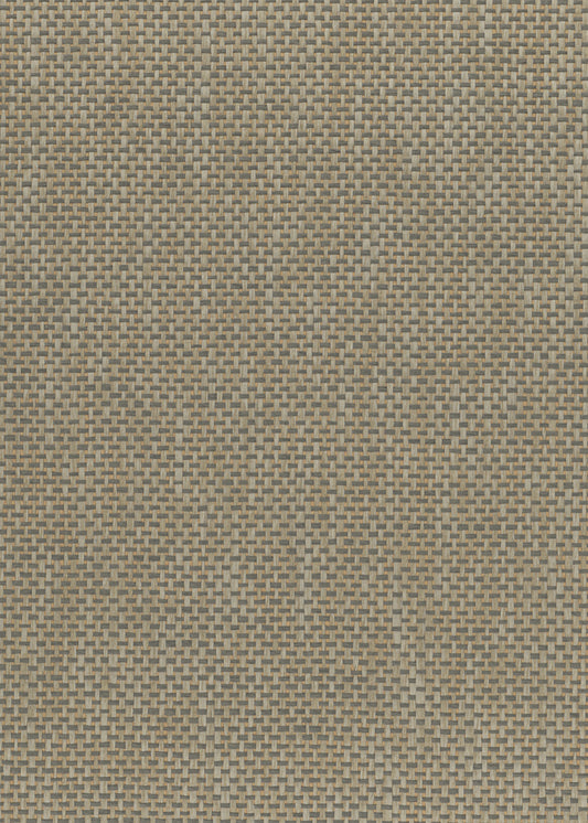 NICHOLASJOHN INC. Natural - Textured Wallcoverings PAPER WEAVE      - NJ25NP6108