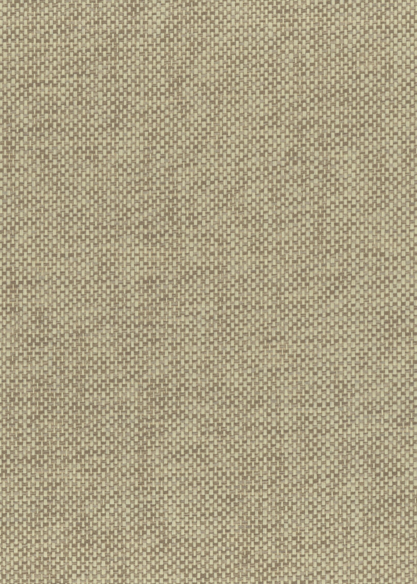 NICHOLASJOHN INC. Natural - Textured Wallcoverings PAPER WEAVE      - NJ25NP6113