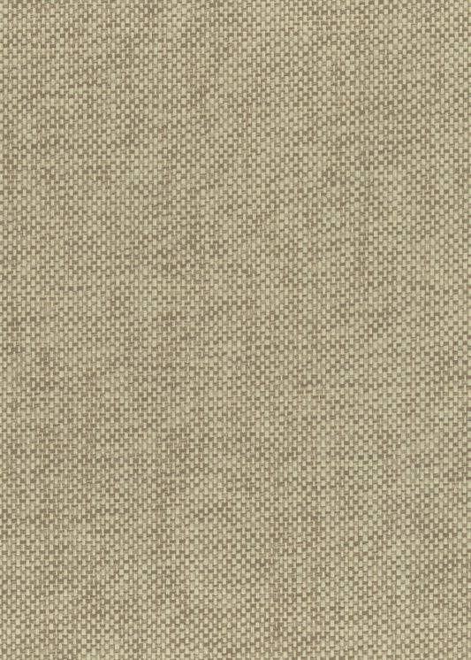 NICHOLASJOHN INC. Natural - Textured Wallcoverings PAPER WEAVE      - NJ25NP6113