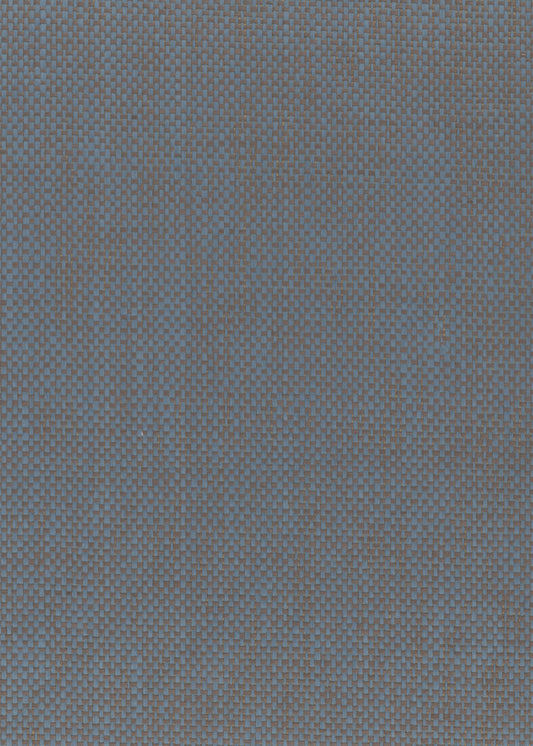 NICHOLASJOHN INC. Natural - Textured Wallcoverings PAPER WEAVE      - NJ25NP6120