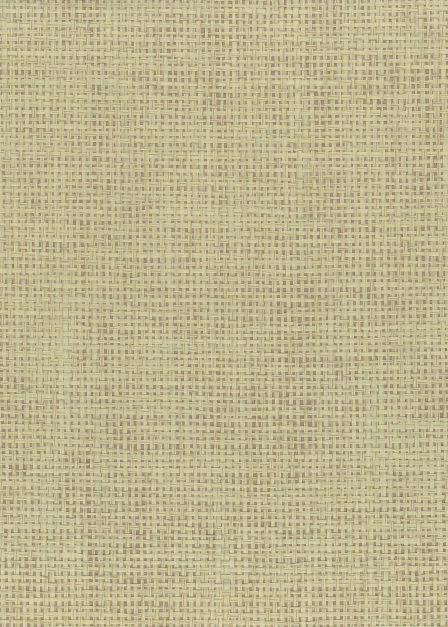 NICHOLASJOHN INC. Natural - Textured Wallcoverings PAPER WEAVE      - NJ25NP6121