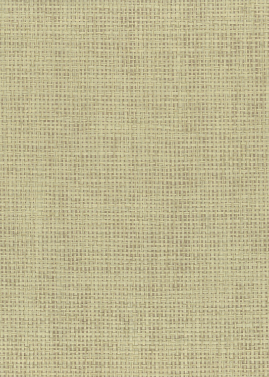 NICHOLASJOHN INC. Natural - Textured Wallcoverings PAPER WEAVE      - NJ25NP6121