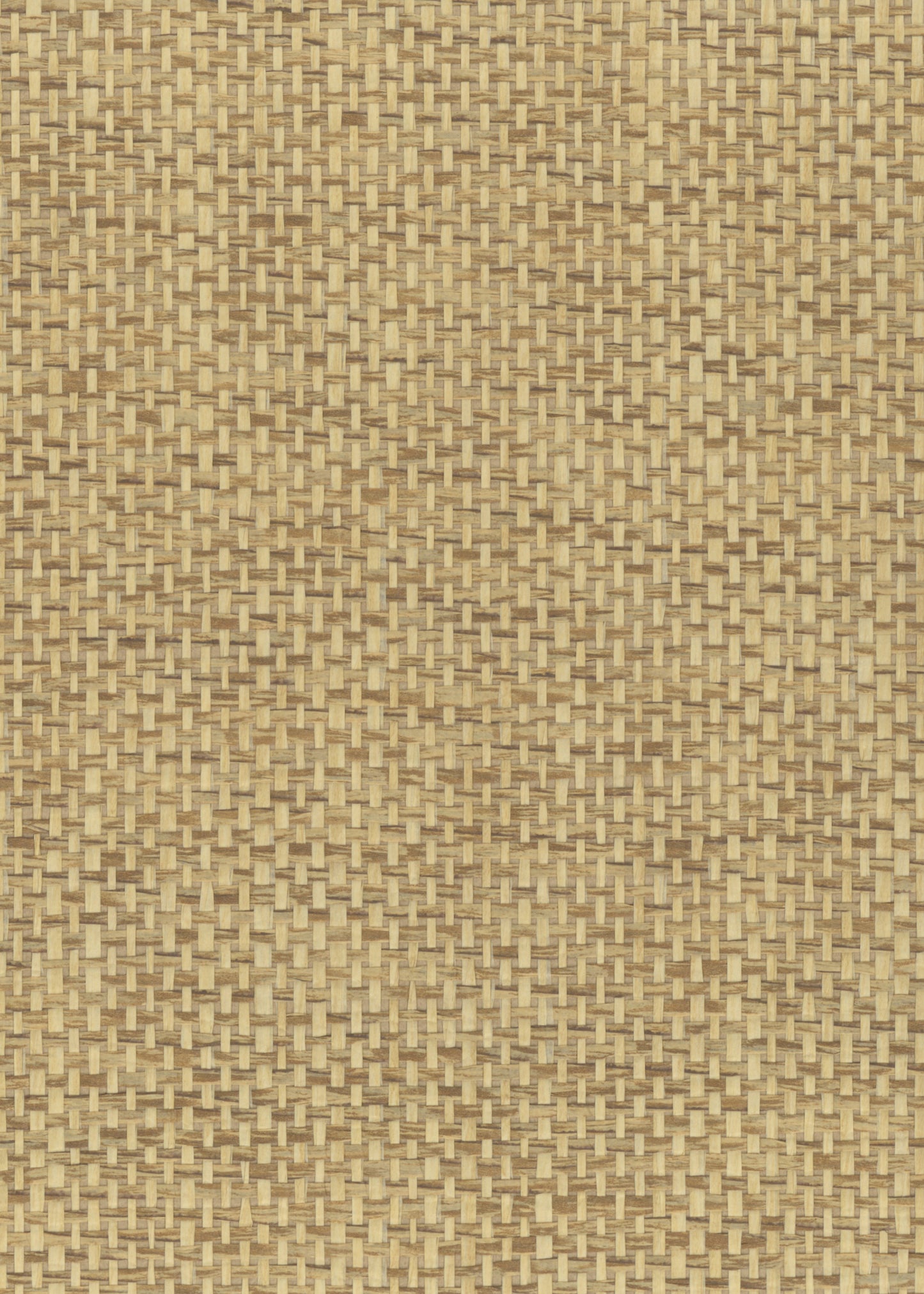 NICHOLASJOHN INC. Natural - Textured Wallcoverings PAPER WEAVE      - NJ25NP6147