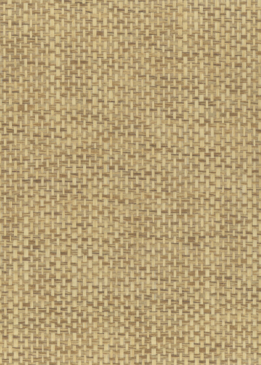 NICHOLASJOHN INC. Natural - Textured Wallcoverings PAPER WEAVE      - NJ25NP6147