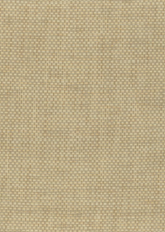 NICHOLASJOHN INC. Natural - Textured Wallcoverings PAPER WEAVE      - NJ25NP6284