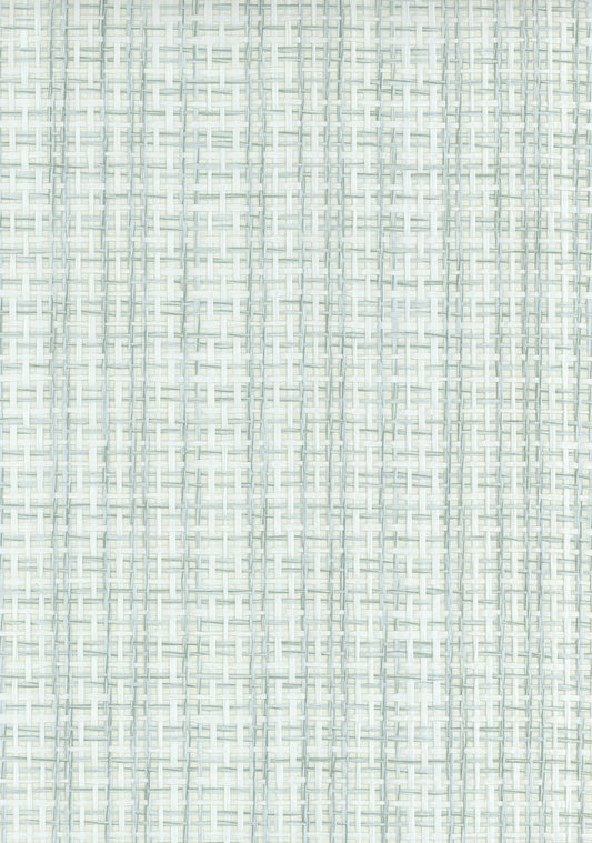 NICHOLASJOHN INC. Natural - Textured Wallcoverings PAPER WEAVE      - NJ25NP6304