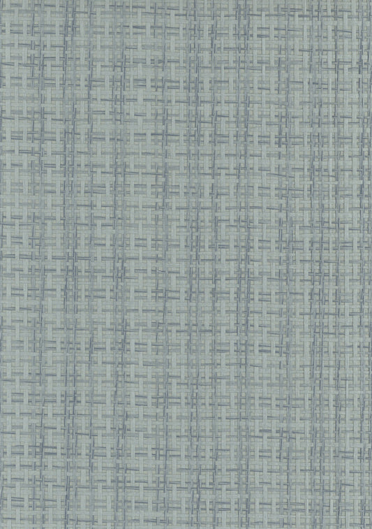 NICHOLASJOHN INC. Natural - Textured Wallcoverings Paper Weave      - NJ25NP6307