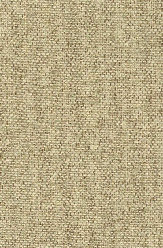 NICHOLASJOHN INC. Natural - Textured Wallcoverings PAPER WEAVE      - NJ25NP6501