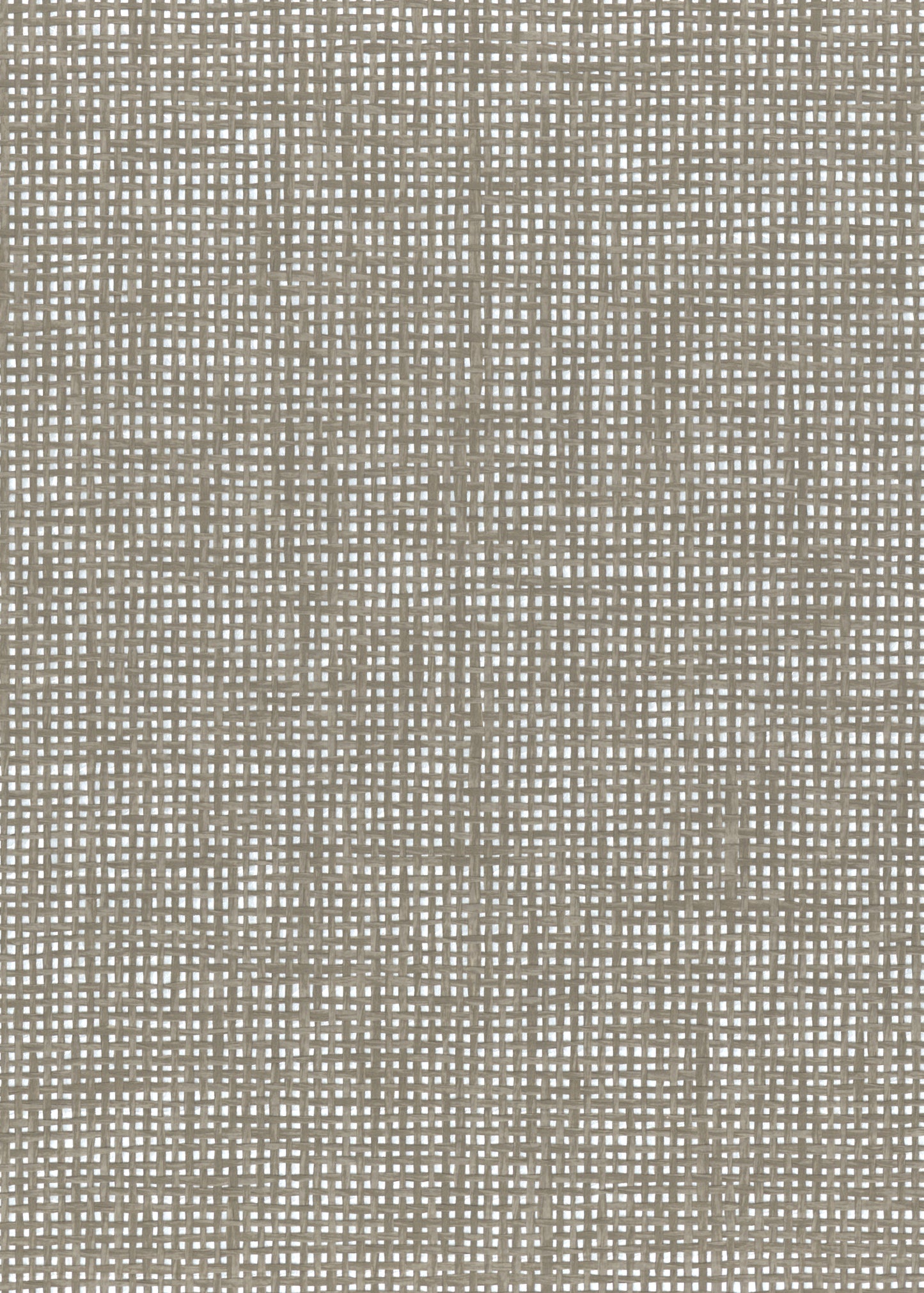 NICHOLASJOHN INC. Natural - Textured Wallcoverings PAPER WEAVE      - NJ25NP6505