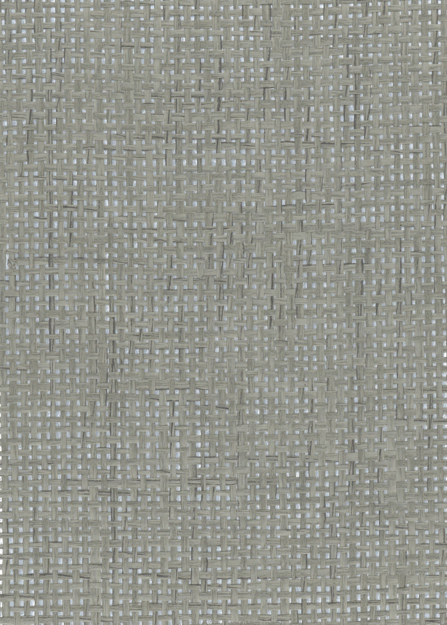 NICHOLASJOHN INC. Natural - Textured Wallcoverings PAPER WEAVE      - NJ25NP6537