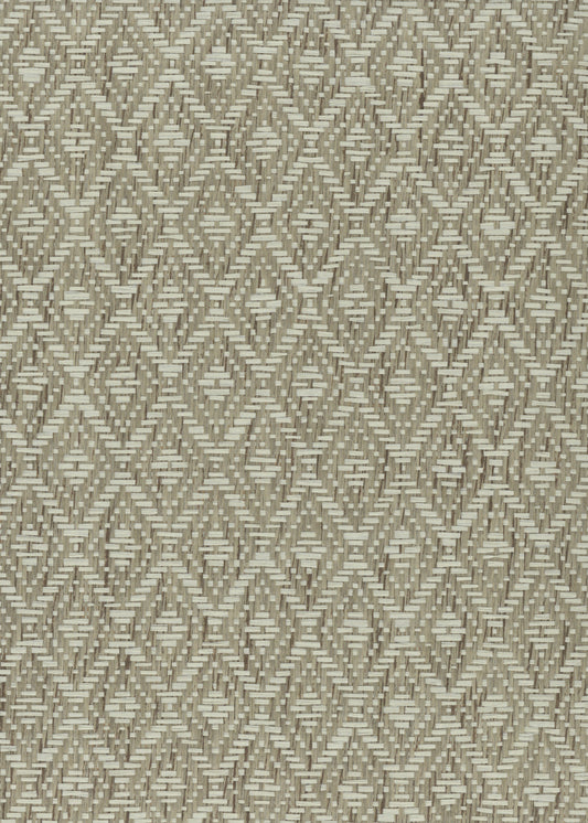 NICHOLASJOHN INC. Natural - Textured Wallcoverings PAPER WEAVE      - NJ25NP6664
