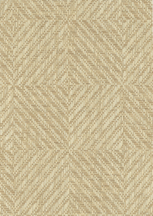 NICHOLASJOHN INC. Natural - Textured Wallcoverings PAPER WEAVE      - NJ25NP6677