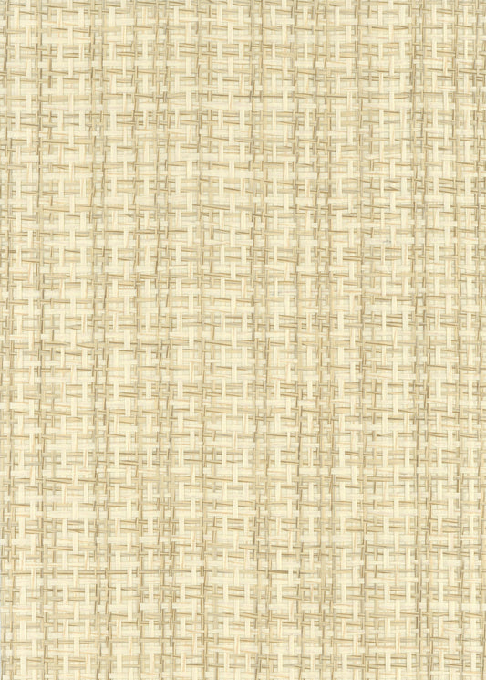 NICHOLASJOHN INC. Natural - Textured Wallcoverings PAPER WEAVE      - NJ25NP6688