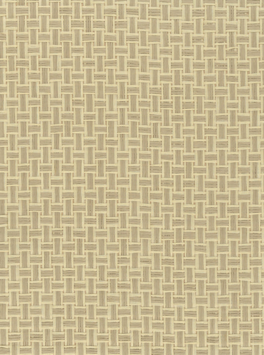 NICHOLASJOHN INC. Natural - Textured Wallcoverings PAPER WEAVE      - NJ25NP6695