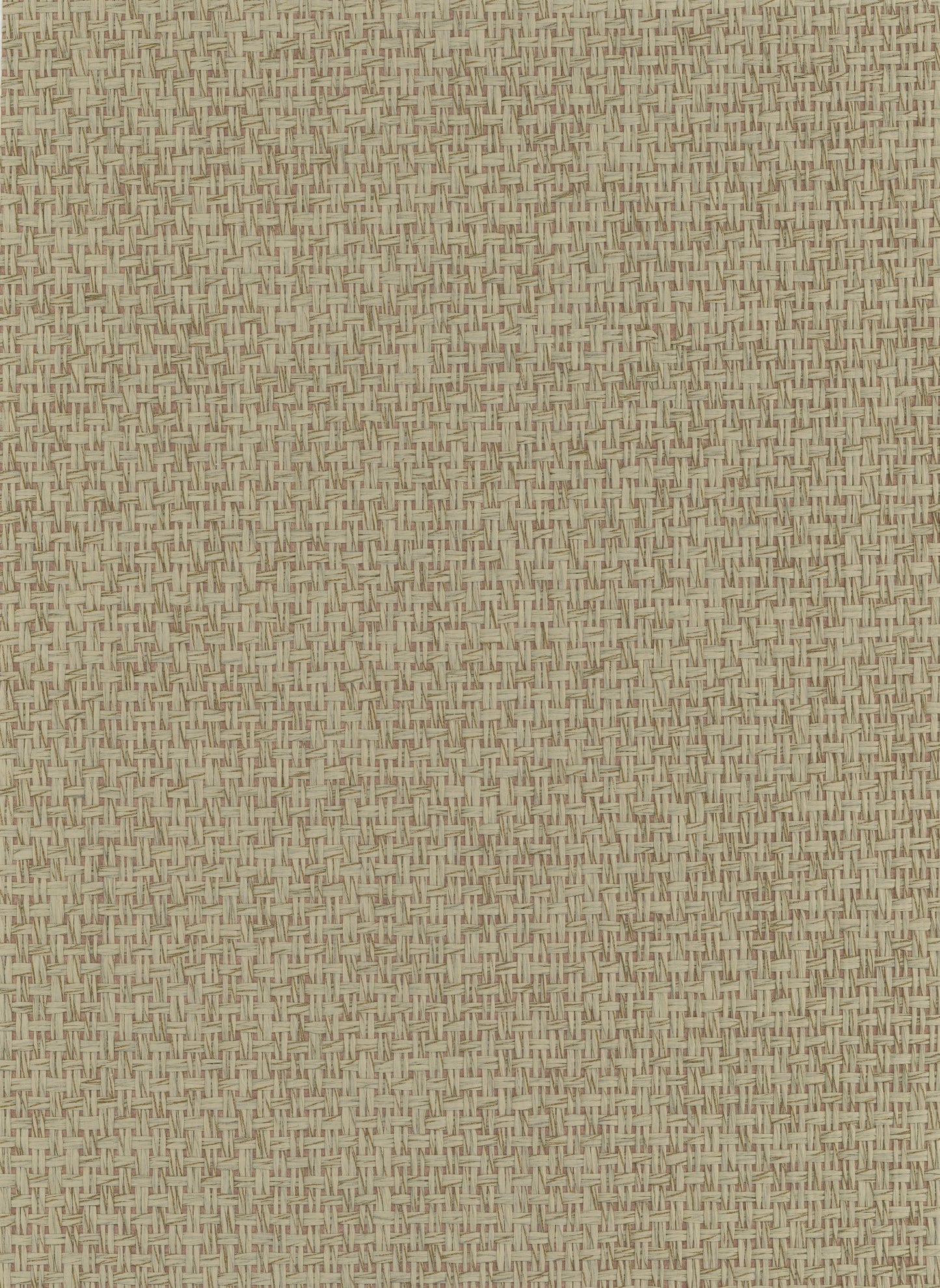NICHOLASJOHN INC. Natural - Textured Wallcoverings LINEN      - NJ25NP6716