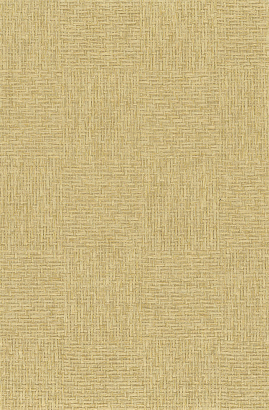 NICHOLASJOHN INC. Natural - Textured Wallcoverings PAPER WEAVE      - NJ25NP6787