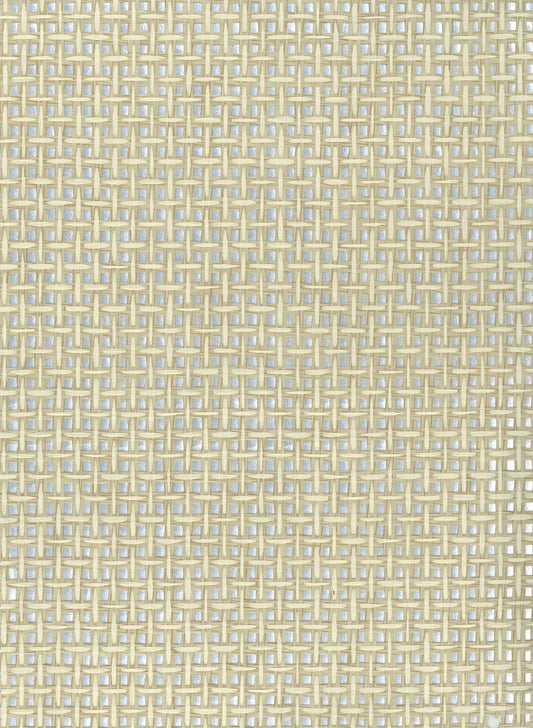 NICHOLASJOHN INC. Natural - Textured Wallcoverings PAPER WEAVE      - NJ25NP6850