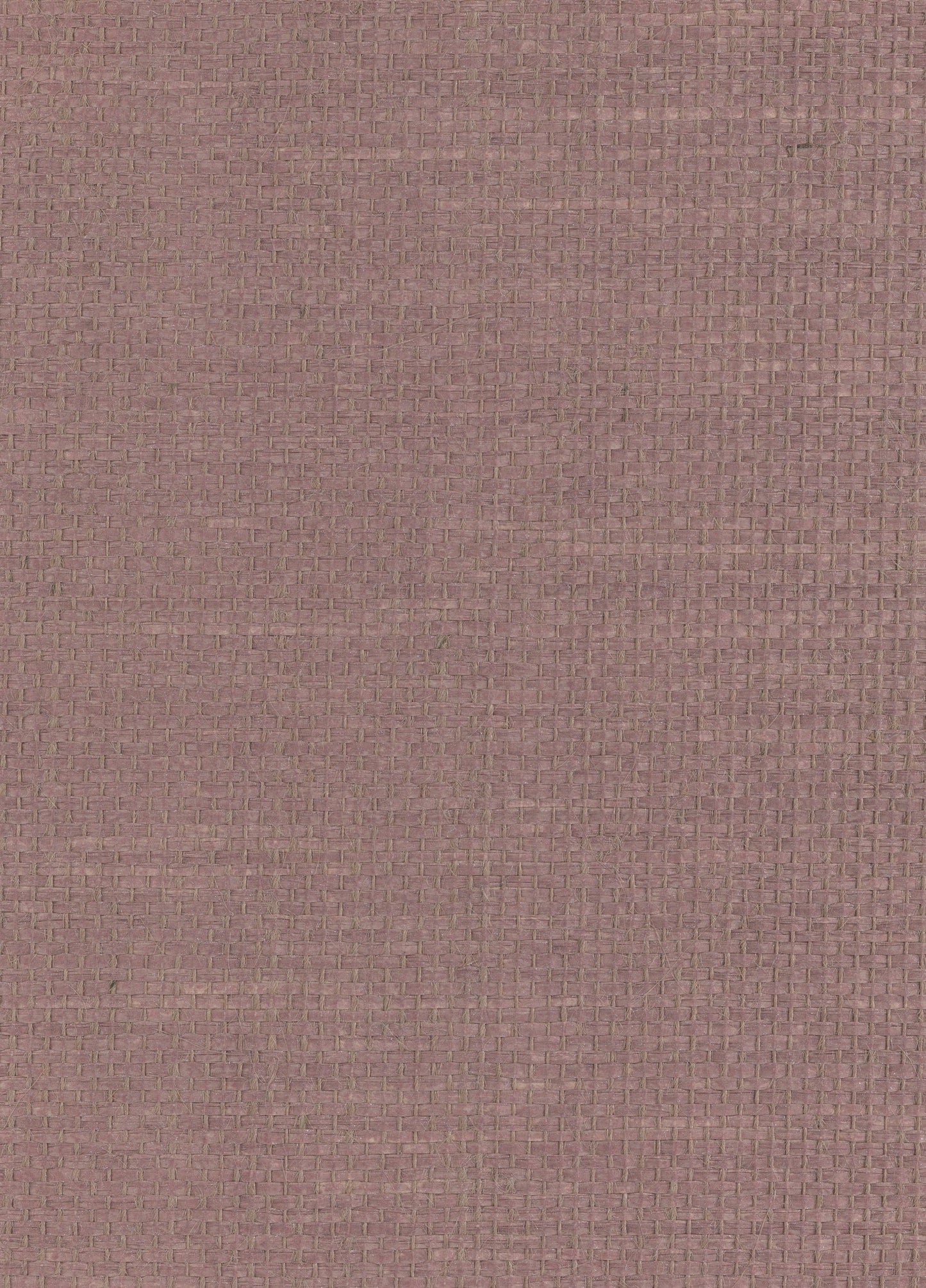 NICHOLASJOHN INC. Natural - Textured Wallcoverings PAPER WEAVE      - NJ25NP8013