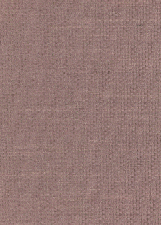NICHOLASJOHN INC. Natural - Textured Wallcoverings PAPER WEAVE      - NJ25NP8013