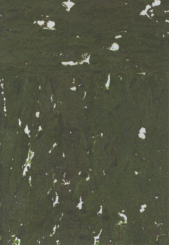 NICHOLASJOHN INC. Natural - Textured Wallcoverings CORK      - NJ25NQ8313