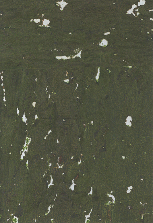 NICHOLASJOHN INC. Natural - Textured Wallcoverings CORK      - NJ25NQ8313