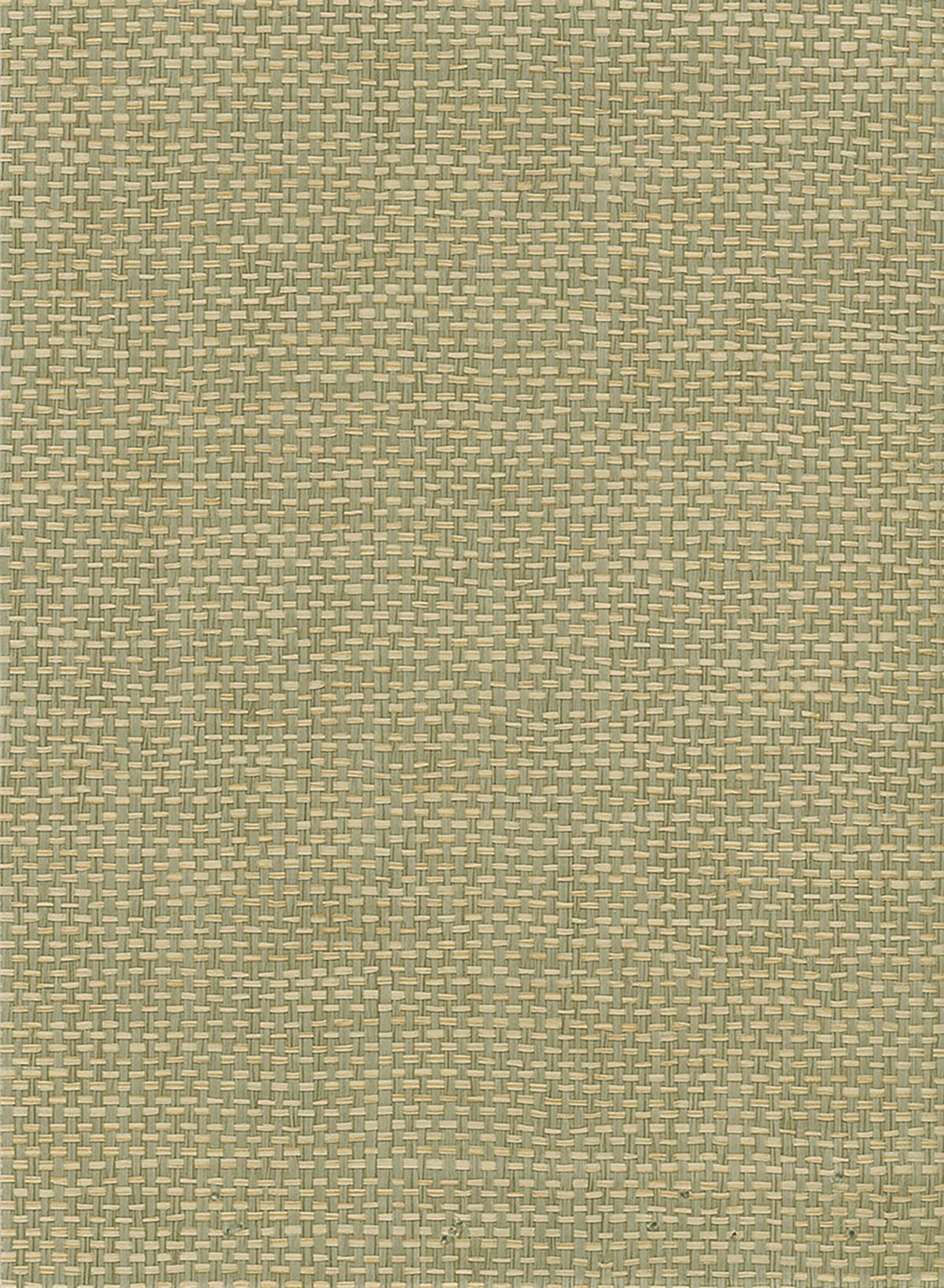 Seabrook Designs Natural Resource Paperweave Grasscloth Contemporary Green Matte Sidewall - NR107X