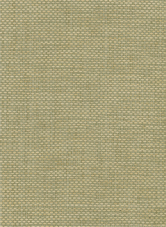 Seabrook Designs Natural Resource Paperweave Grasscloth Contemporary Green Matte Sidewall - NR107X