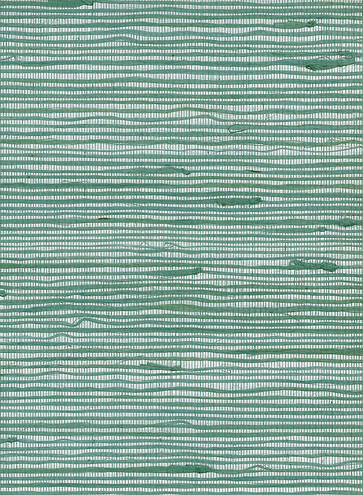 Seabrook Designs Natural Resource Jute Grasscloth Contemporary Green Matte Sidewall - NR110X