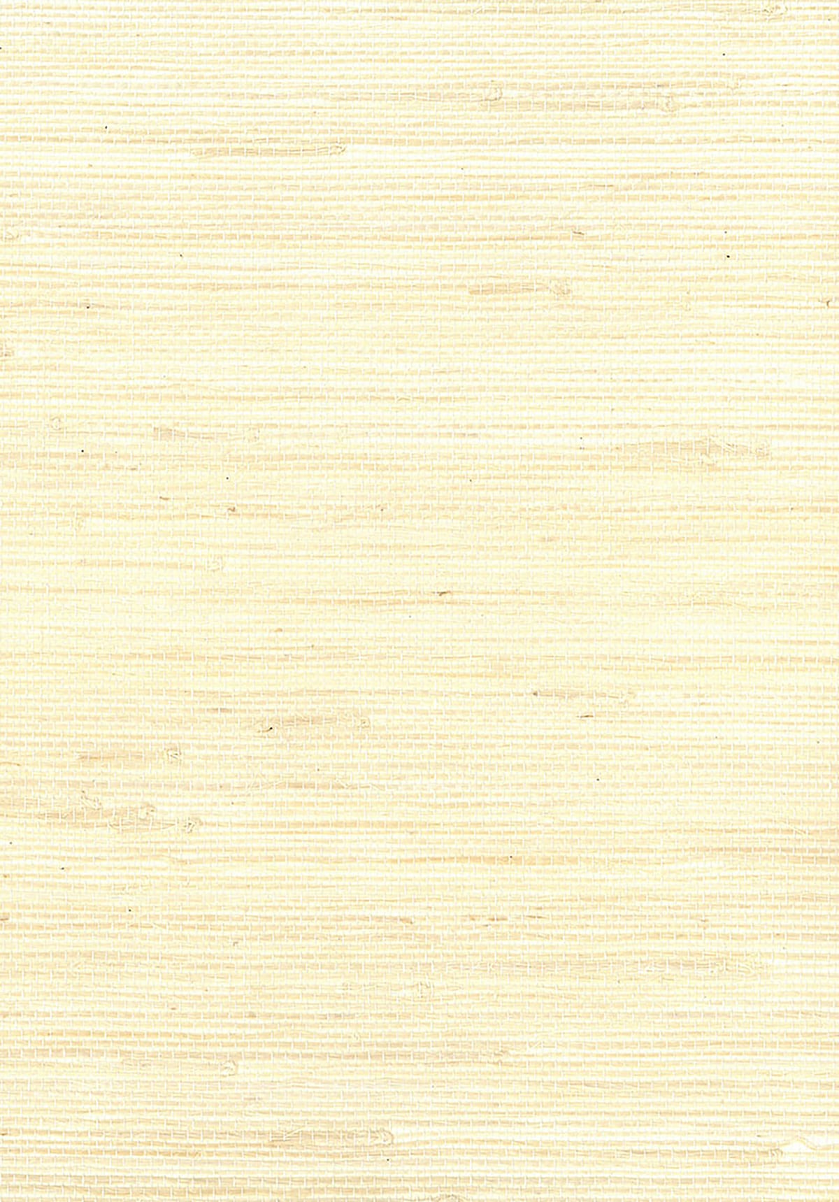 Seabrook Designs Natural Resource Jute Grasscloth Contemporary Off-White Matte Sidewall - NR131X