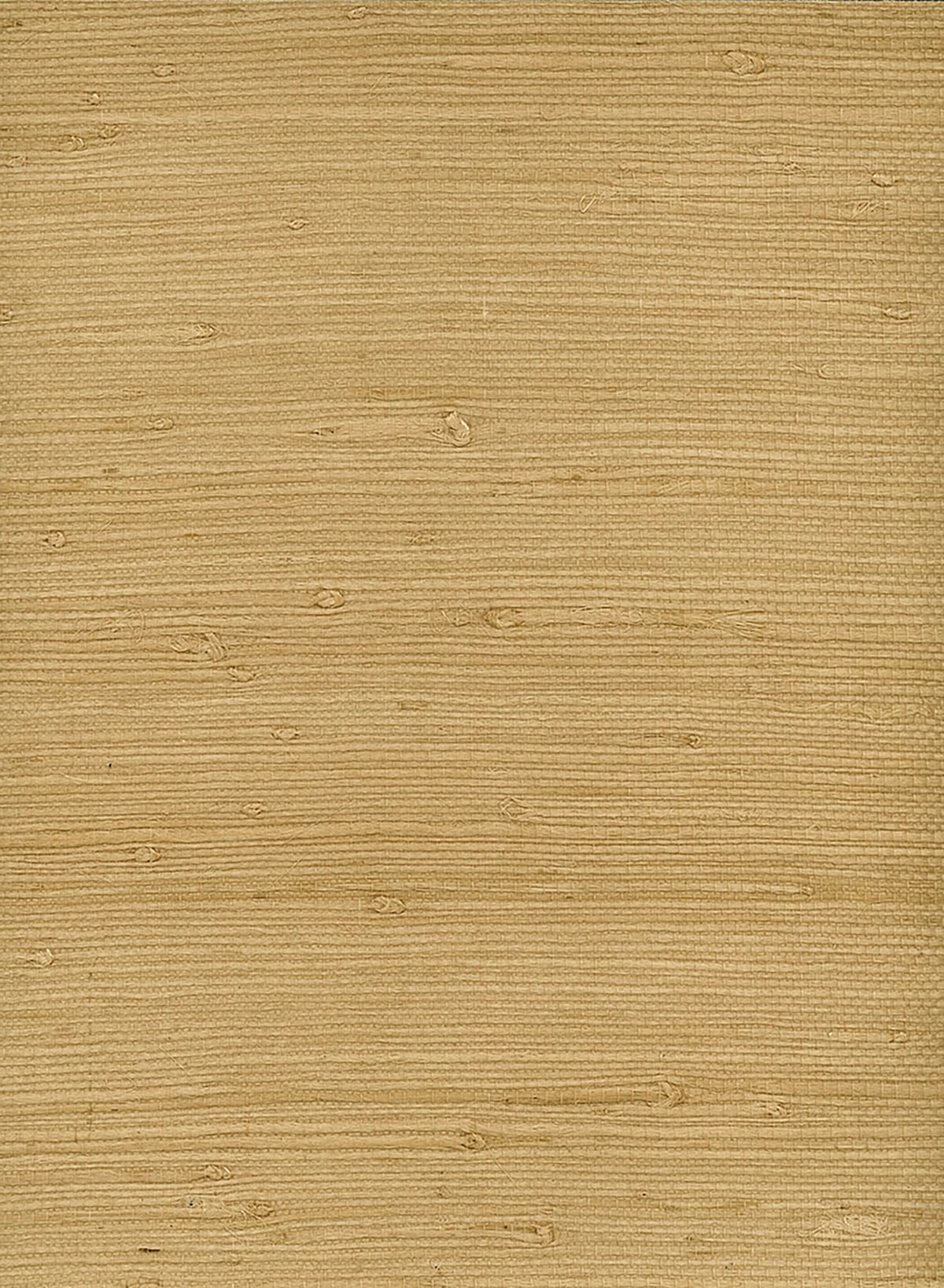 Seabrook Designs Natural Resource Jute Grasscloth Contemporary Tan Matte Sidewall - NR140X