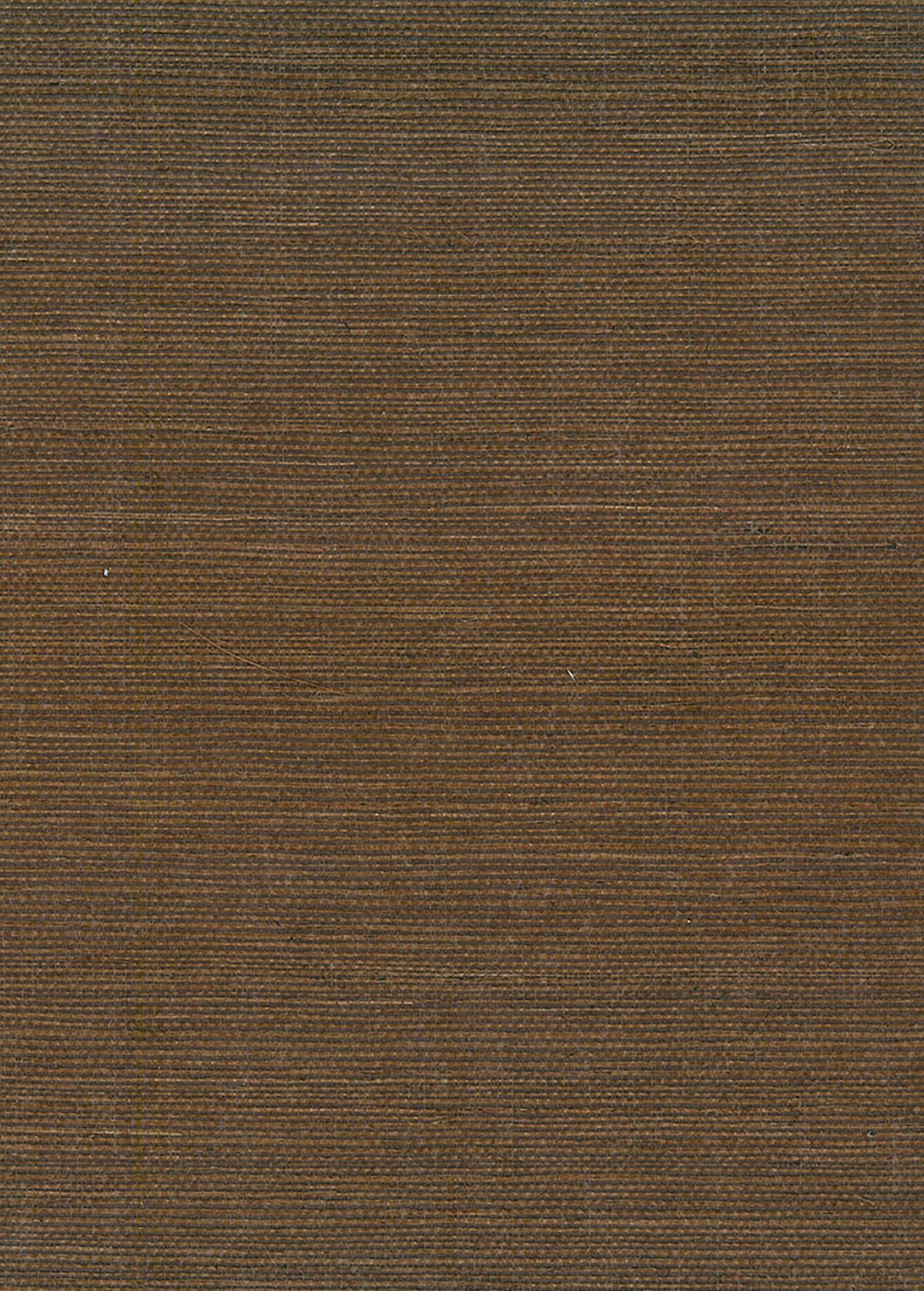 Seabrook Designs Natural Resource Sisal Grasscloth Contemporary Brown Matte Sidewall - NR170X