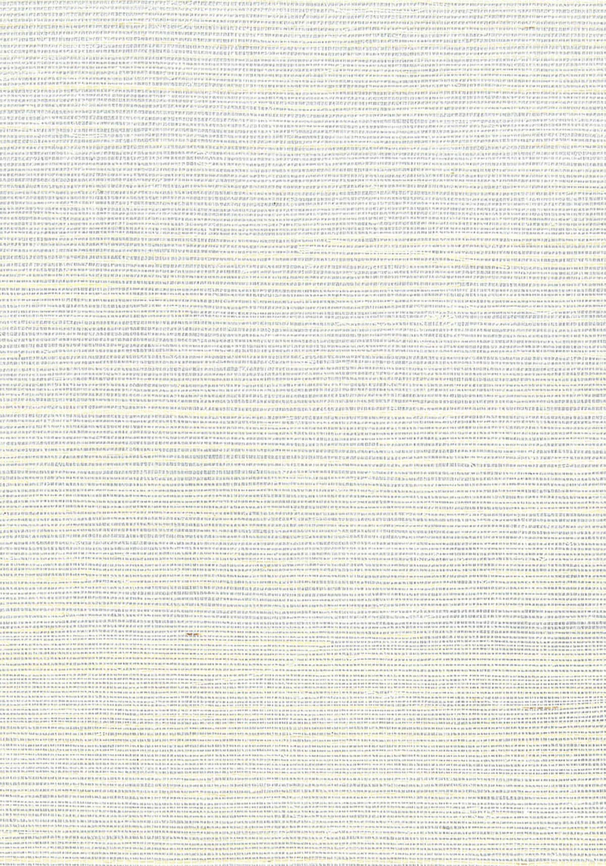 Seabrook Designs Natural Resource Sisal Grasscloth Contemporary Silver Metallic Sidewall - NR178Y