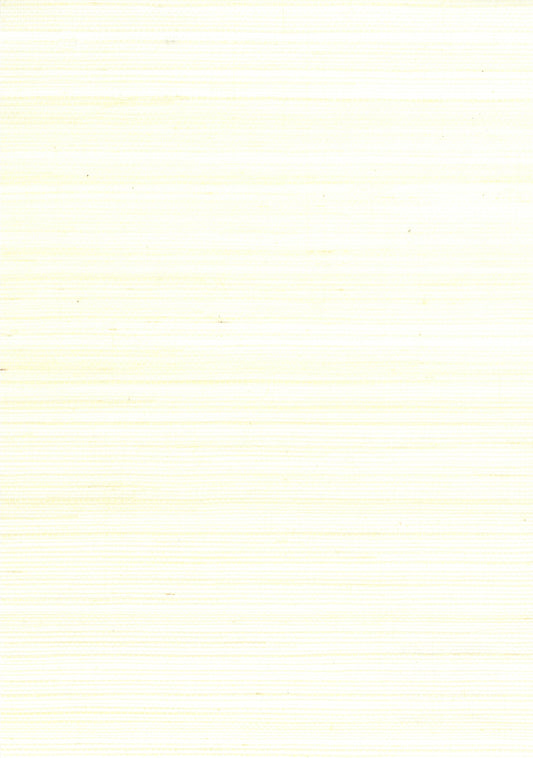 NICHOLASJOHN INC. Natural - Textured Wallcoverings SISAL      - NJ25NS1014