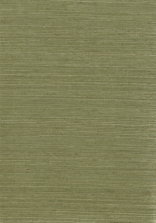 NICHOLASJOHN INC. Natural - Textured Wallcoverings SISAL      - NJ25NS1033