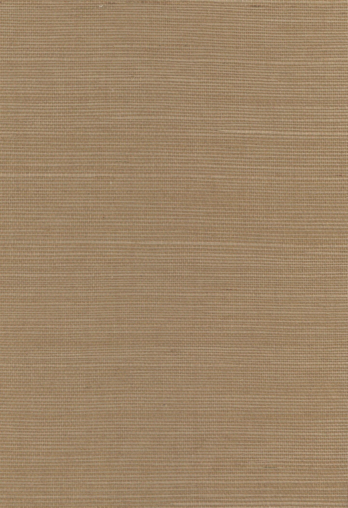 NICHOLASJOHN INC. Natural - Textured Wallcoverings SISAL      - NJ25NS1107