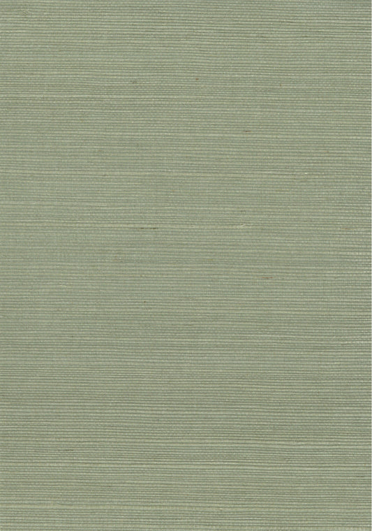 NICHOLASJOHN INC. Natural - Textured Wallcoverings SISAL      - NJ25NS1129