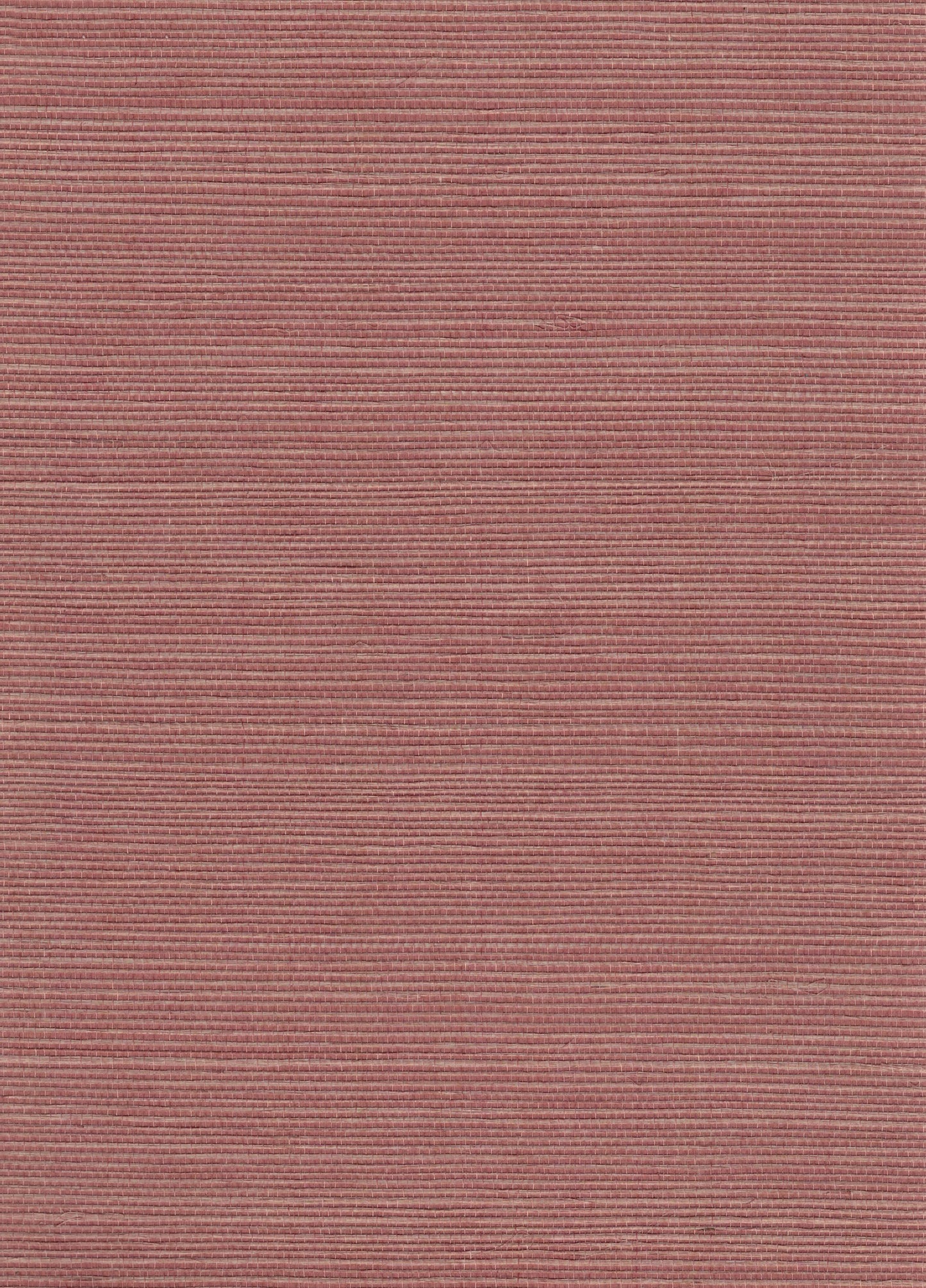 NICHOLASJOHN INC. Natural - Textured Wallcoverings SISAL      - NJ25NS1134