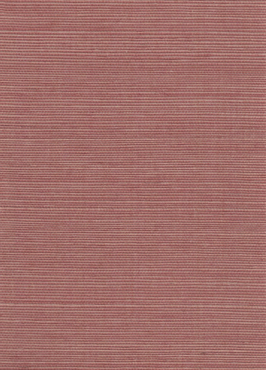 NICHOLASJOHN INC. Natural - Textured Wallcoverings SISAL      - NJ25NS1134