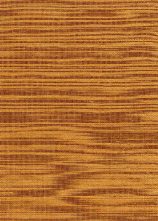 NICHOLASJOHN INC. Natural - Textured Wallcoverings SISAL      - NJ25NS1138