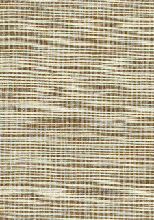 NICHOLASJOHN INC. Natural - Textured Wallcoverings SISAL      - NJ25NS1147