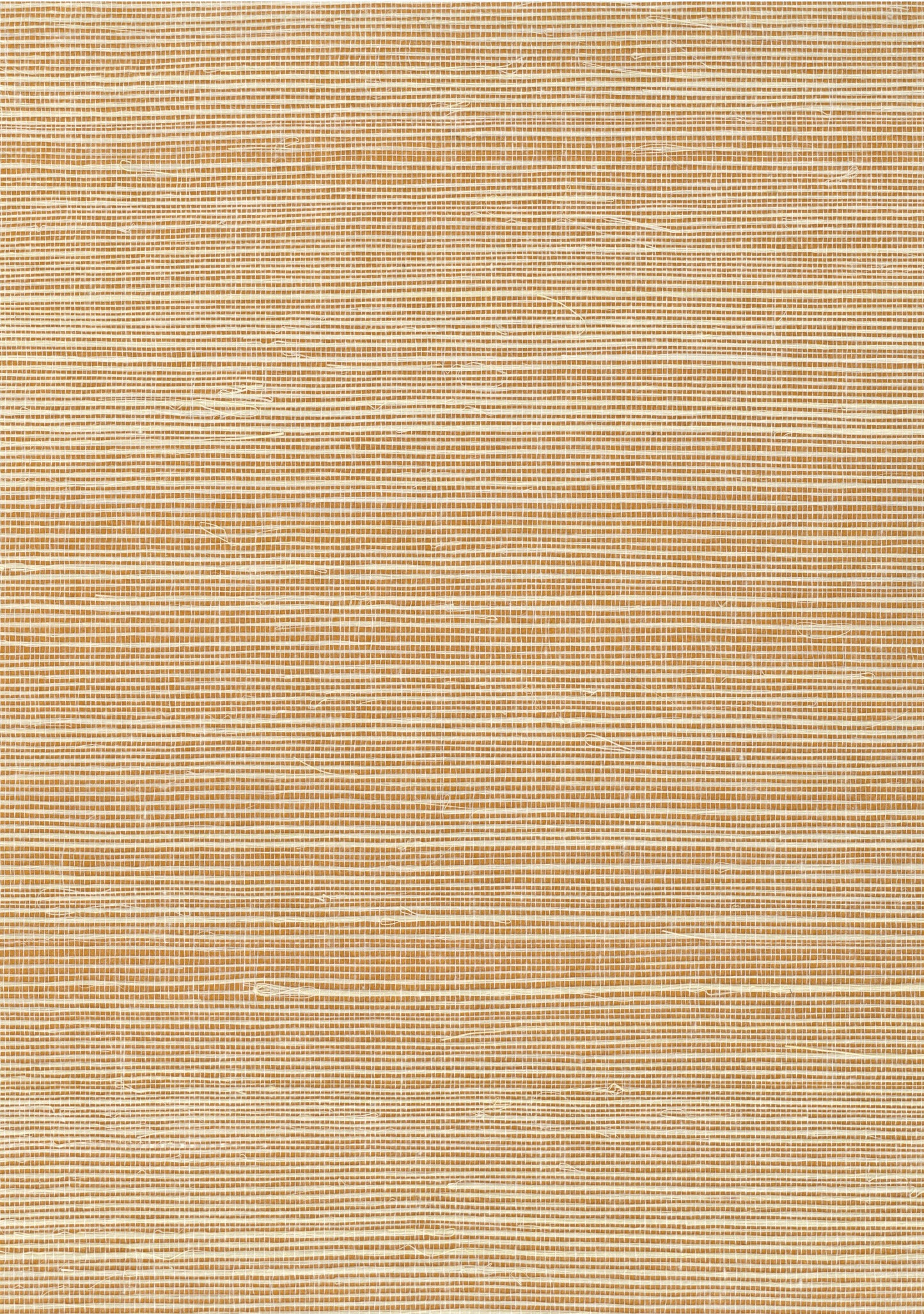 NICHOLASJOHN INC. Natural - Textured Wallcoverings SISAL      - NJ25NS1148
