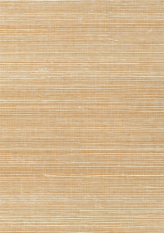 NICHOLASJOHN INC. Natural - Textured Wallcoverings SISAL      - NJ25NS1148