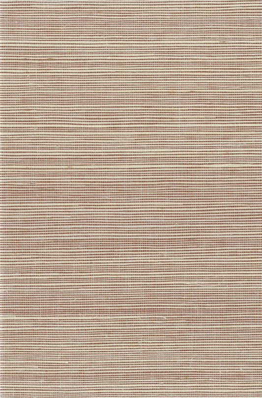 NICHOLASJOHN INC. Natural - Textured Wallcoverings SISAL      - NJ25NS1149