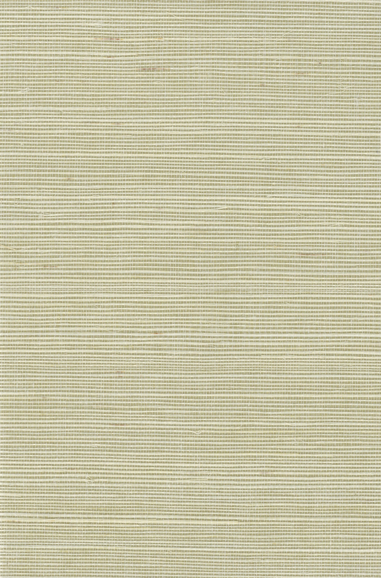 NICHOLASJOHN INC. Natural - Textured Wallcoverings SISAL      - NJ25NS1150