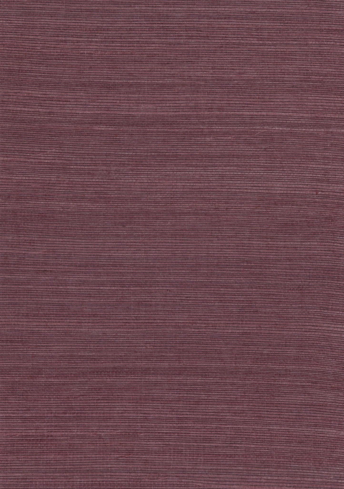 NICHOLASJOHN INC. Natural - Textured Wallcoverings SISAL      - NJ25NS1183