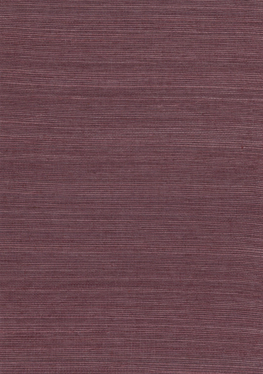 NICHOLASJOHN INC. Natural - Textured Wallcoverings SISAL      - NJ25NS1183