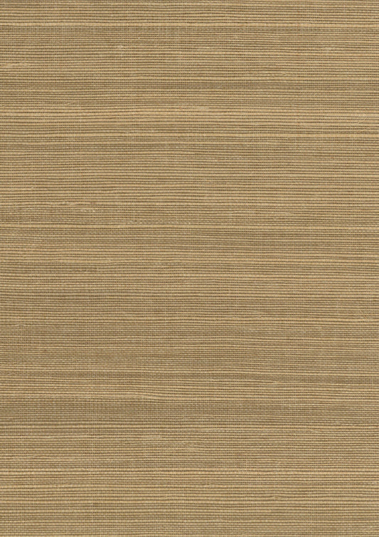 NICHOLASJOHN INC. Natural - Textured Wallcoverings SISAL      - NJ25NS1196