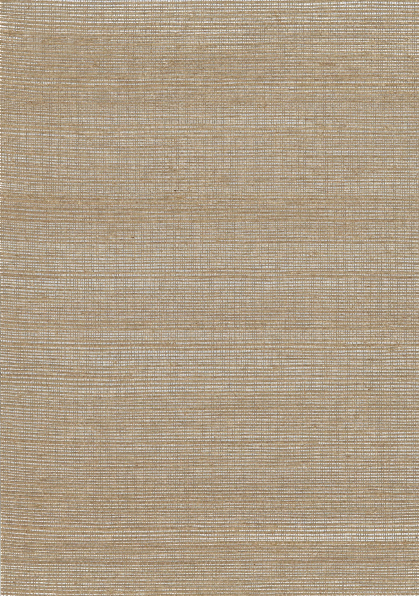 NICHOLASJOHN INC. Natural - Textured Wallcoverings SISAL      - NJ25NS2018